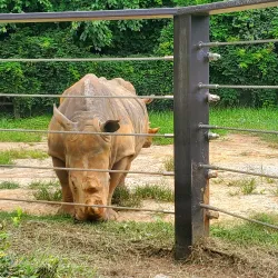 Knoxville Zoo - Knoxville