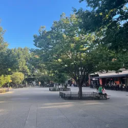 Market Square - Knoxville