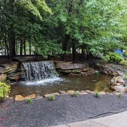 Market Square - Knoxville