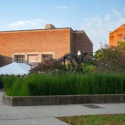 McClung Museum of Natural History and Culture - Knoxville