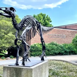 McClung Museum of Natural History and Culture - Knoxville