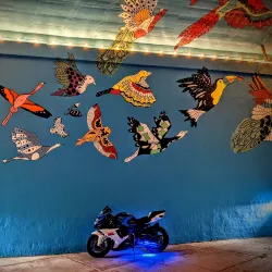 World's Fair Park - Knoxville