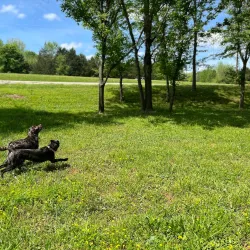 Buffalo River Park - Lawrenceburg