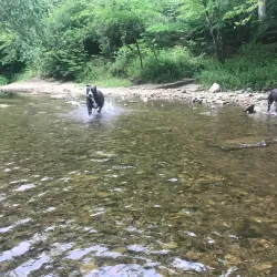 Buffalo River Park - Lawrenceburg