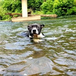 Buffalo River Park - Lawrenceburg