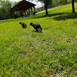 Buffalo River Park - Lawrenceburg