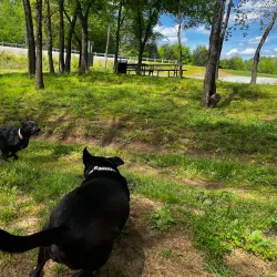 Buffalo River Park - Lawrenceburg