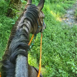 Buffalo River Trail - Lawrenceburg