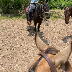 Buffalo River Trail - Lawrenceburg