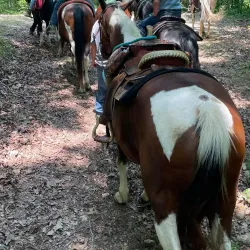 Buffalo River Trail - Lawrenceburg