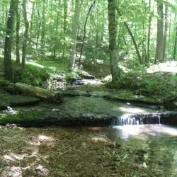 Buffalo River Trail - Lawrenceburg