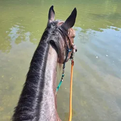 Buffalo River Trail - Lawrenceburg