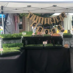 Lenoir City Farmers Market - Lenoir City