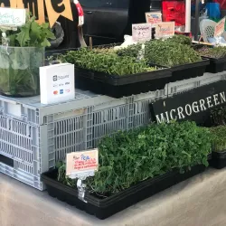 Lenoir City Farmers Market - Lenoir City