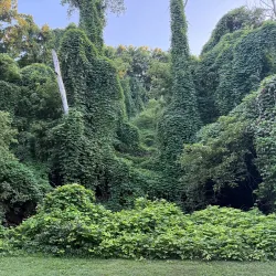 Sweetwater Creek Greenway - Lenoir City