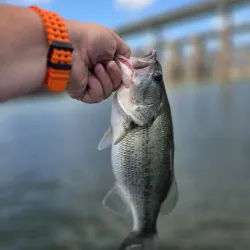 Tennessee Riverwalk - Lenoir City