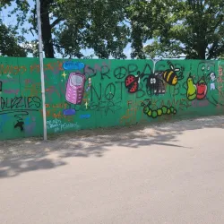 Bonnaroo Music and Arts Festival - Manchester