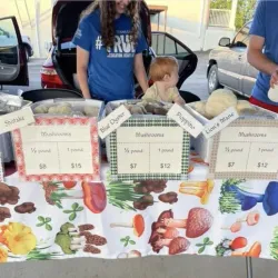 Manchester Farmers Market - Manchester