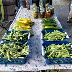 Manchester Farmers Market - Manchester