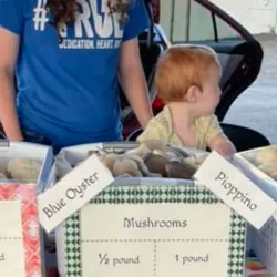 Manchester Farmers Market - Manchester