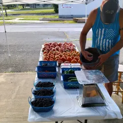 Manchester Farmers Market - Manchester