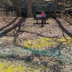 Old Stone Fort Golf Club - Manchester