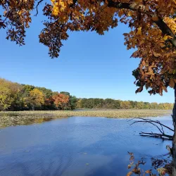 Old Womans Creek Park - Manchester
