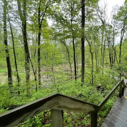 Old Womans Creek Park - Manchester