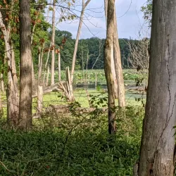 Old Womans Creek Park - Manchester