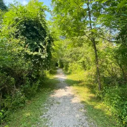 Old Womans Creek Park - Manchester