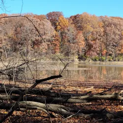 Old Womans Creek Park - Manchester