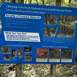 Old Womans Creek Park - Manchester