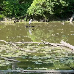 Old Womans Creek Park - Manchester