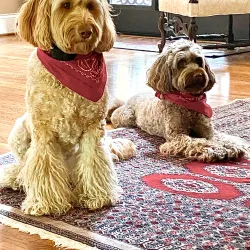 The Farm at Natchez Trace - Manchester