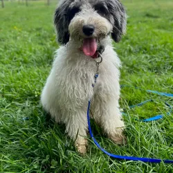 The Farm at Natchez Trace - Manchester