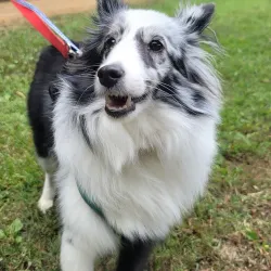 The Farm at Natchez Trace - Manchester