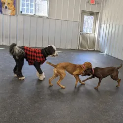 The Farm at Natchez Trace - Manchester