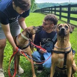 The Farm at Natchez Trace - Manchester