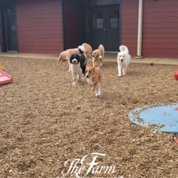 The Farm at Natchez Trace - Manchester