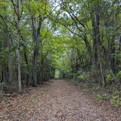 Big Bone Cave - McMinnville