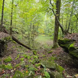 Big Bone Cave - McMinnville