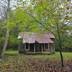 Big Bone Cave - McMinnville