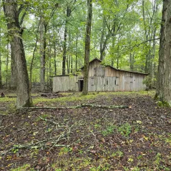 Big Bone Cave - McMinnville