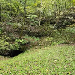 Big Bone Cave - McMinnville