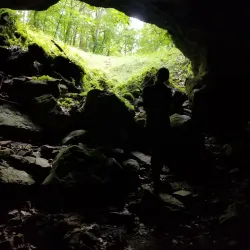 Big Bone Cave - McMinnville