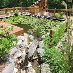 Cumberland Caverns - McMinnville