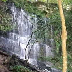 Downtown McMinnville - McMinnville