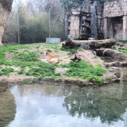 Memphis Zoo - Memphis