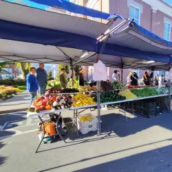 Murfreesboro Farmers Market - Murfreesboro