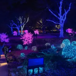 Cheekwood Estate & Gardens - Nashville